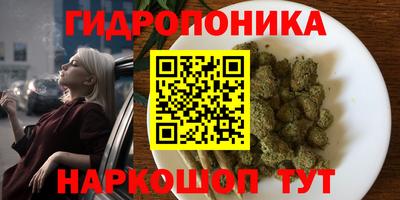 винт Кандалакша