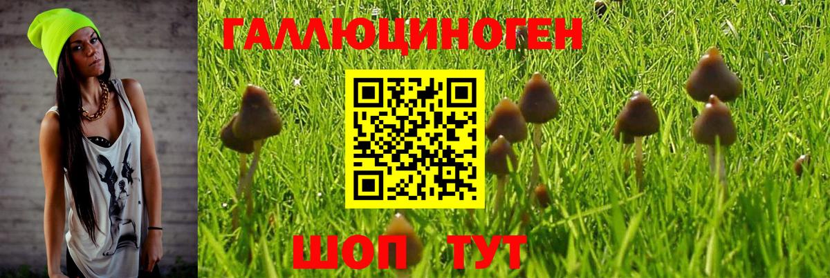 Галлюциногенные грибы мицелий Уссурийск