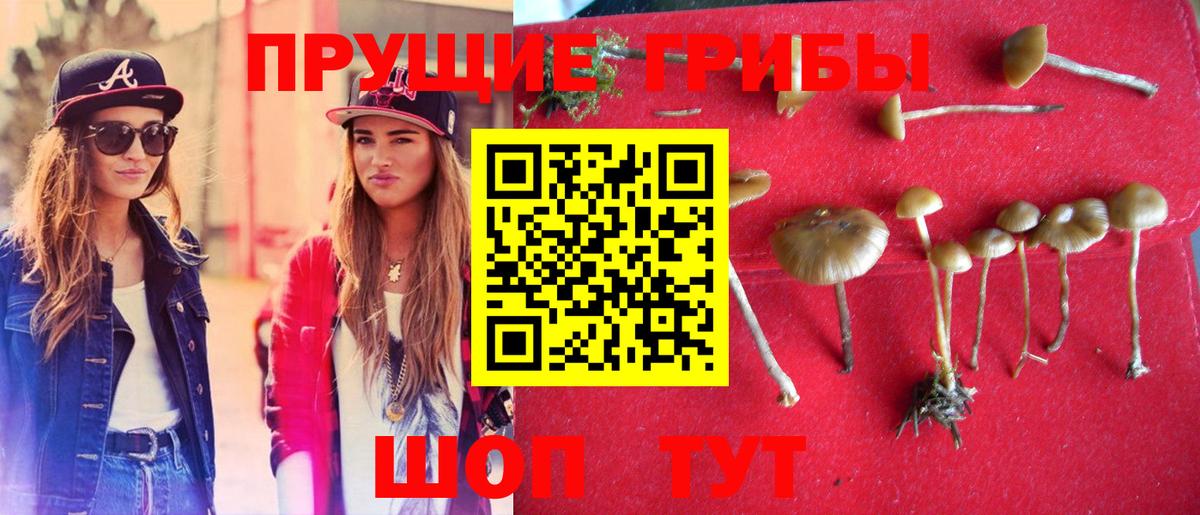 Уссурийск  Псилоцибиновые грибы MAGIC MUSHROOMS  Вход с VPN  Галлюциногенные грибы GOLDEN TEACHER 